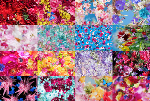 新鮮な蜷川 実花 壁紙 高 画質 すべての美しい花の画像